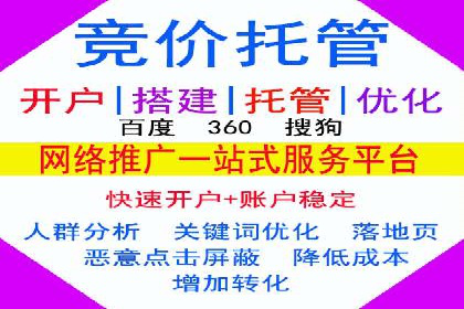 专业SEM服务公司案例分析报告